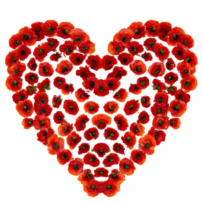 Bild eines Mohnblumen-Herzens, das zur Ruhe und Gesundheit beiträgt.