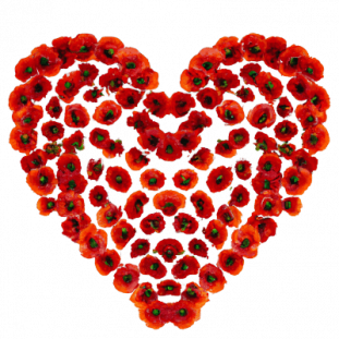 Bild eines Mohnblumen-Herzens, das zur Ruhe und Gesundheit beiträgt.