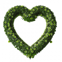 Herz aus grünen Büschen, das Ruhe ausstrahlt, um die Resilienz zu intensivieren.